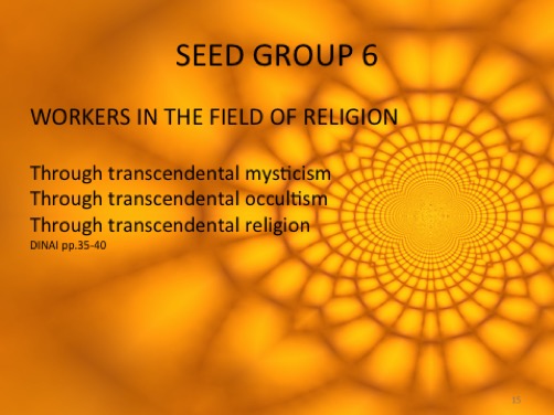 seedgroup6